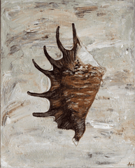 Chocolate Spider Conch - Original Art