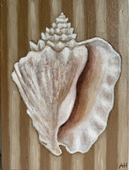 Caramel Stripe Conch - Original Art