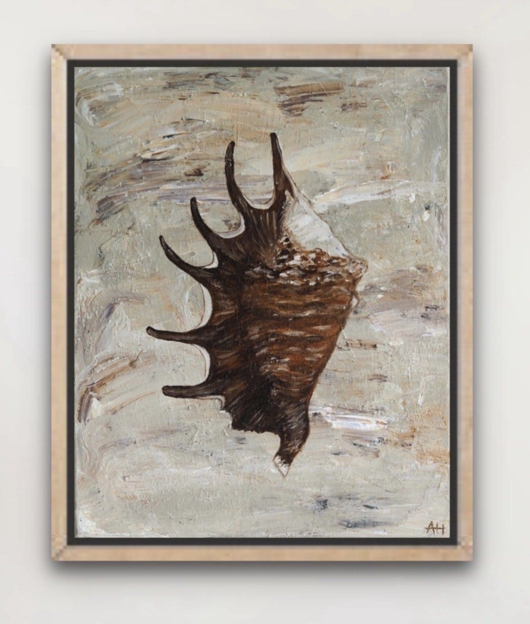 Chocolate Spider Conch - Original Art
