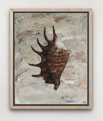 Chocolate Spider Conch - Original Art