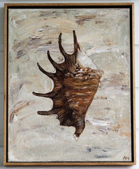 Chocolate Spider Conch - Original Art