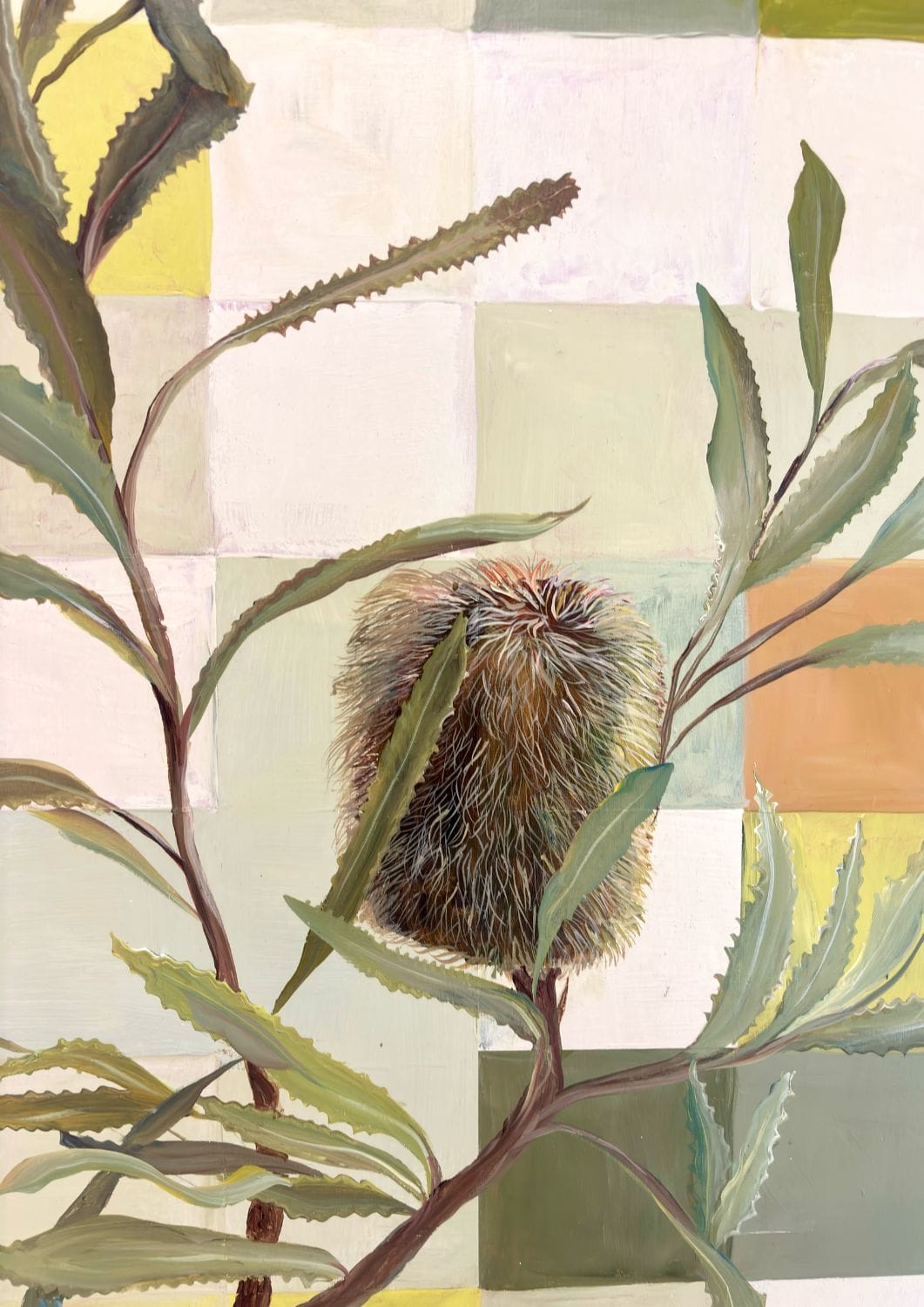 Banksia In Patchwork Light - Original Art