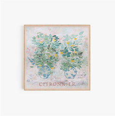 Citronnier - Limited Edition Print